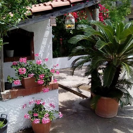 Maison Romantique Santa Maria di Castellabate Quarto foto